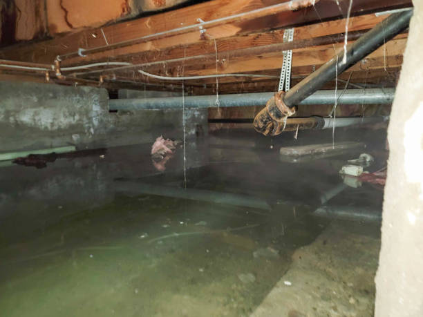 Best Water damage restoration near me  in Columbia, CA