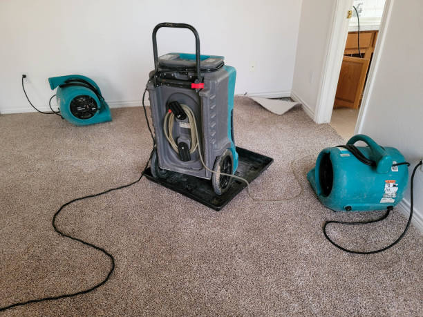 Best Water damage restoration company  in Columbia, CA