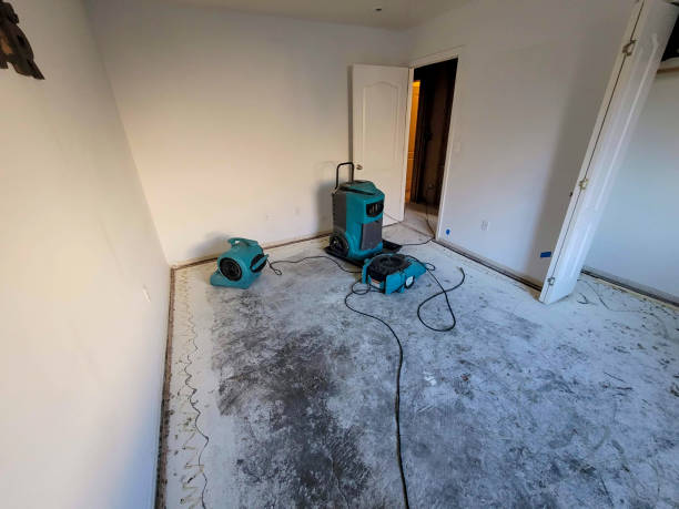 Best Flood damage cleanup  in Columbia, CA