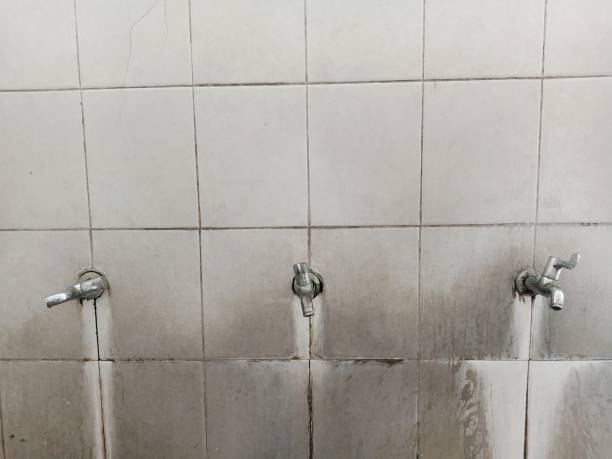 Best Residential water damage restoration  in Columbia, CA