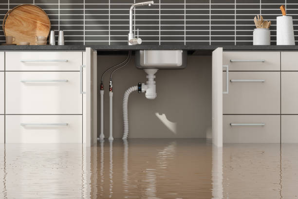 Best Basement water damage restoration  in Columbia, CA