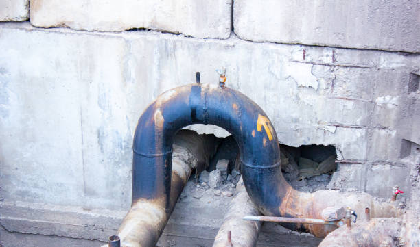 Best Professional water damage repair  in Columbia, CA
