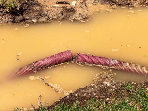 Water damage restoration process in Columbia, CA